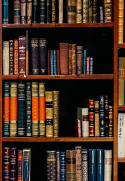 The Third Party Litigation Funding Law Review Sixth Edition Contribution from UAE Partners